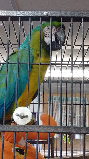 Pet Groomer «Animal Kingdom Grooming», reviews and photos, 339 S Santa Fe Ave, Pueblo, CO 81003, USA