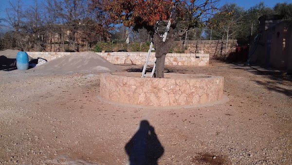 Imagen de Excursions a Cabrera (10 de 17)