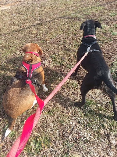 Park «Bruno Melini Park», reviews and photos, 616 Central Ave, Minotola, NJ 08341, USA