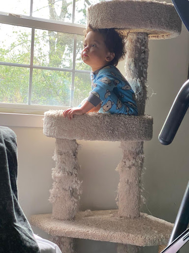 Explore broken glass tattoo ideas, creative tattoo ideas in Egg Harbor Township, available at Dreamline Ink Tattoo