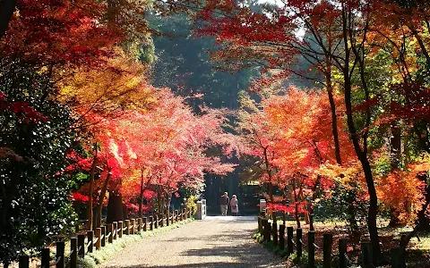 Heirin-ji Precinct Forest image