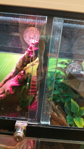 Pet Supply Store «PetSmart», reviews and photos, 1561 N Dysart Rd, Avondale, AZ 85323, USA