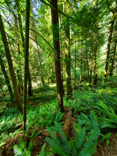 Performing Arts Theater «Kitsap Forest Theater», reviews and photos, 3000 Seabeck Hwy NW, Bremerton, WA 98312, USA