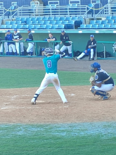 Stadium «City of Palms Park», reviews and photos, 2201 Edison Ave, Fort Myers, FL 33901, USA