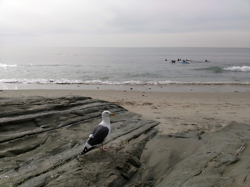 Laundromat «Coast Highway Laundromat & Dry», reviews and photos, 1040 S Coast Hwy, Laguna Beach, CA 92651, USA