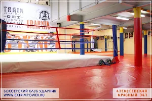 Boxing club Udarnik Alekseevskaya image