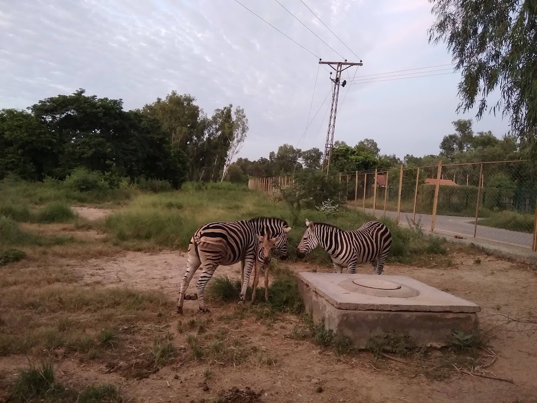 Lahore Wildlife Park