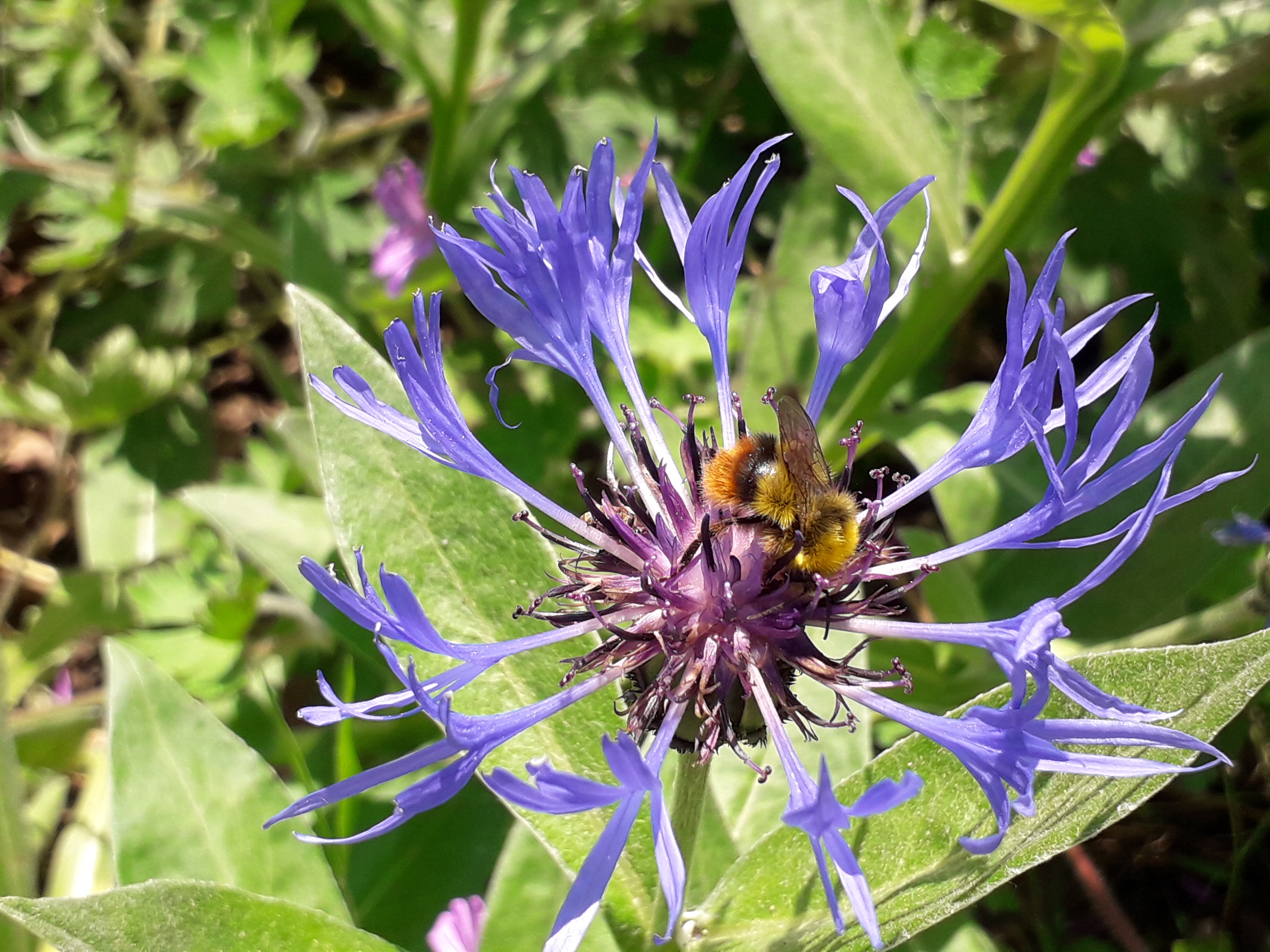 Photo n° 1 de l'avis de Jean.u fait le 09/05/2019 à 12:15