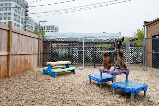 Dog Den Chicago