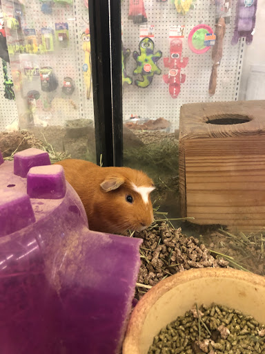 Pet Store «Delhi Pet Center», reviews and photos, 5665 Rapid Run Rd, Cincinnati, OH 45238, USA