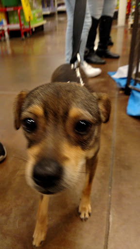 Pet Supply Store «PetSmart», reviews and photos, 1561 N Dysart Rd, Avondale, AZ 85323, USA