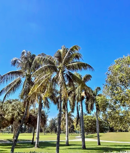 Golf Club «Miami Beach Golf Club», reviews and photos, 2301 Alton Rd, Miami Beach, FL 33140, USA