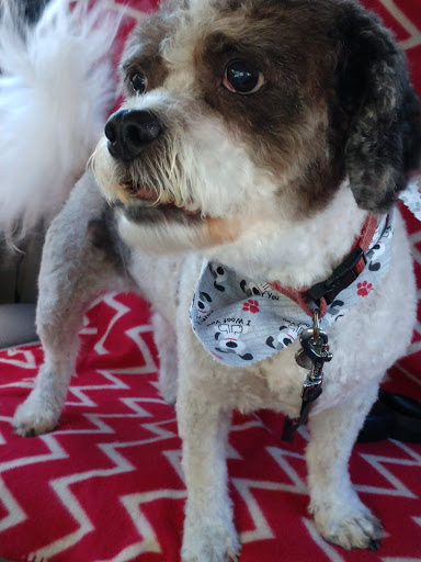 Pet Supply Store «Happy Tails Inc», reviews and photos, 194 Turkeysag Trail, Palmyra, VA 22963, USA