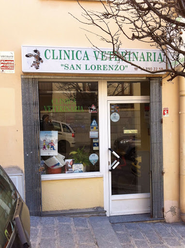 Clínica Veterinaria San Lorenzo