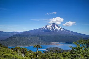 Parque Nacional Conguillio image