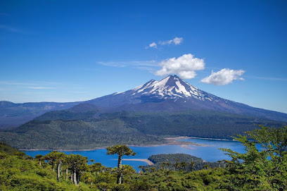 Parque Nacional Conguillio