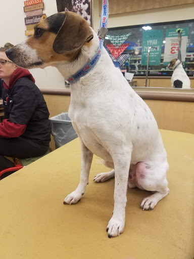 Pet Supply Store «PetSmart», reviews and photos, 1300 John F Kennedy Rd, Dubuque, IA 52002, USA