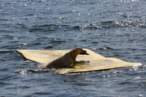 Boutique Hotel «Eleven Gables Inn and Cottage», reviews and photos, 493 Wrigley Dr, Lake Geneva, WI 53147, USA