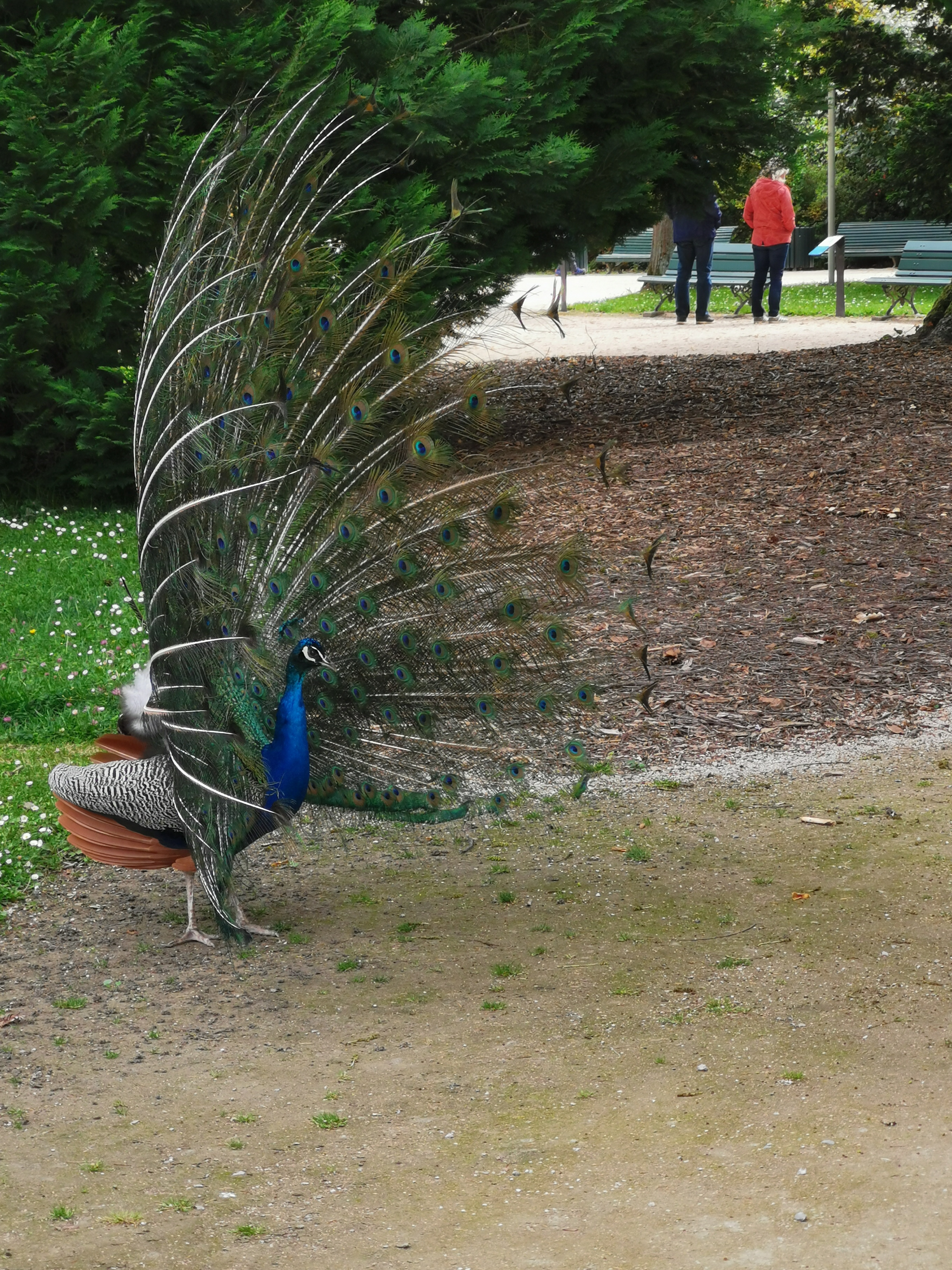 Photo n° 12 de l'avis de veronique.a fait le 26/05/2021 à 15:49