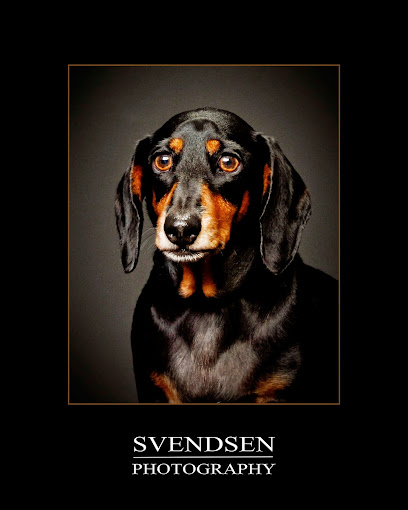 Svendsen Photography