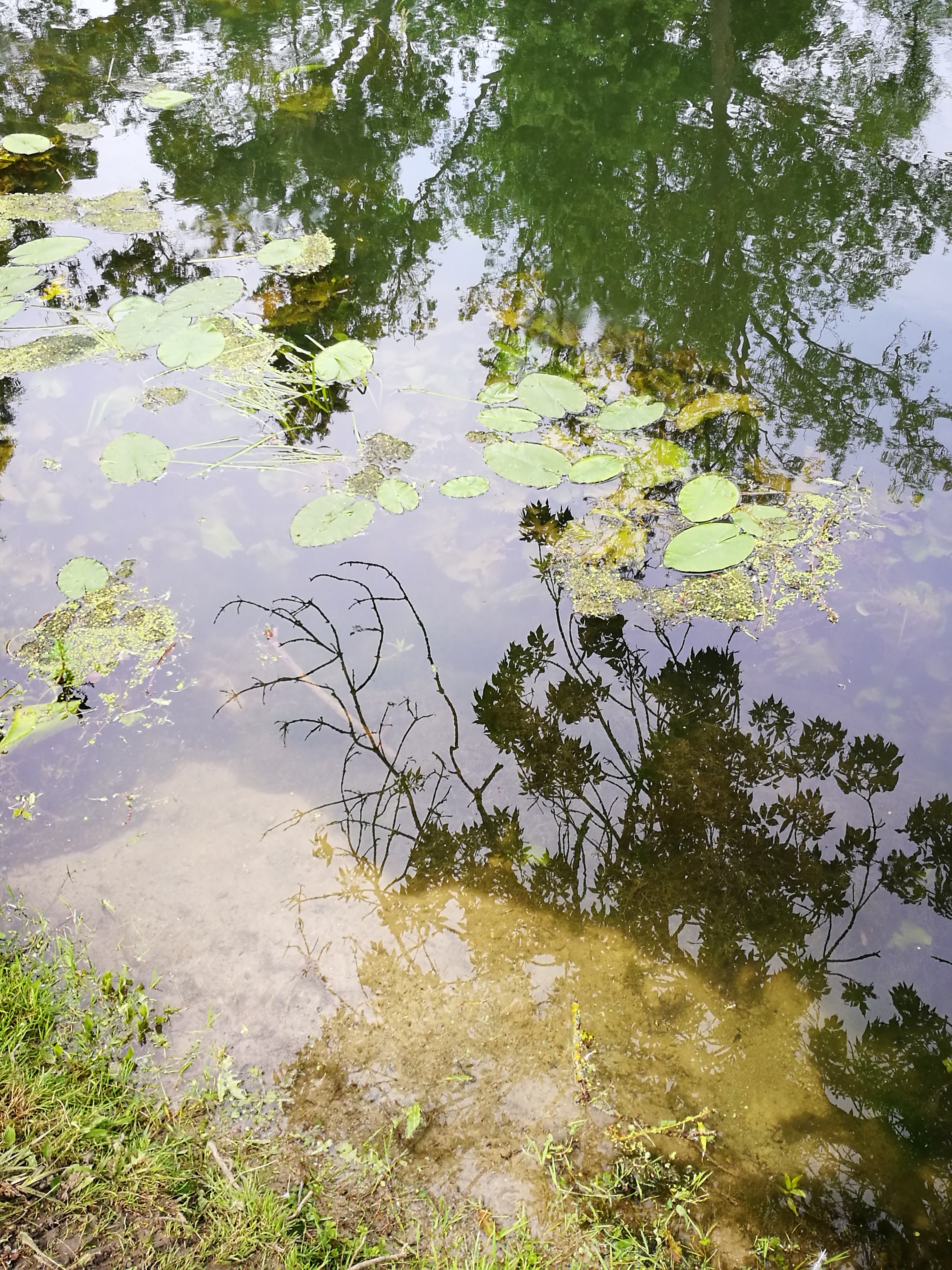 Photo n° 21 de l'avis de Pv.o fait le 28/06/2019 à 21:07