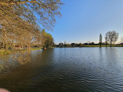 Deux Etangs SCM des à Saint-Germain-du-Bois