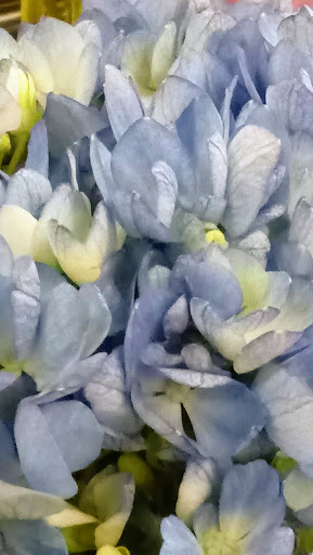 Grocery Store «Jewel-Osco», reviews and photos, 7201 W 24th St, North Riverside, IL 60546, USA