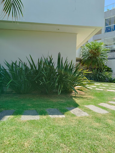 Logo da empresa - Tucano Jardins