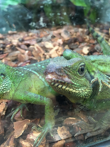 Pet Supply Store «Petco Animal Supplies», reviews and photos, 5 Sugar Hollow Rd b, Danbury, CT 06810, USA