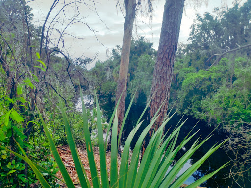 Nature Preserve «Rye Preserve», reviews and photos, 905 Rye Wilderness Trail, Parrish, FL 34219, USA