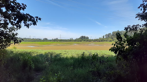 Nature Preserve «Smith and Bybee Wetlands Natural Area», reviews and photos, 5300 N Marine Dr, Portland, OR 97203, USA