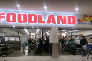 Foodland image