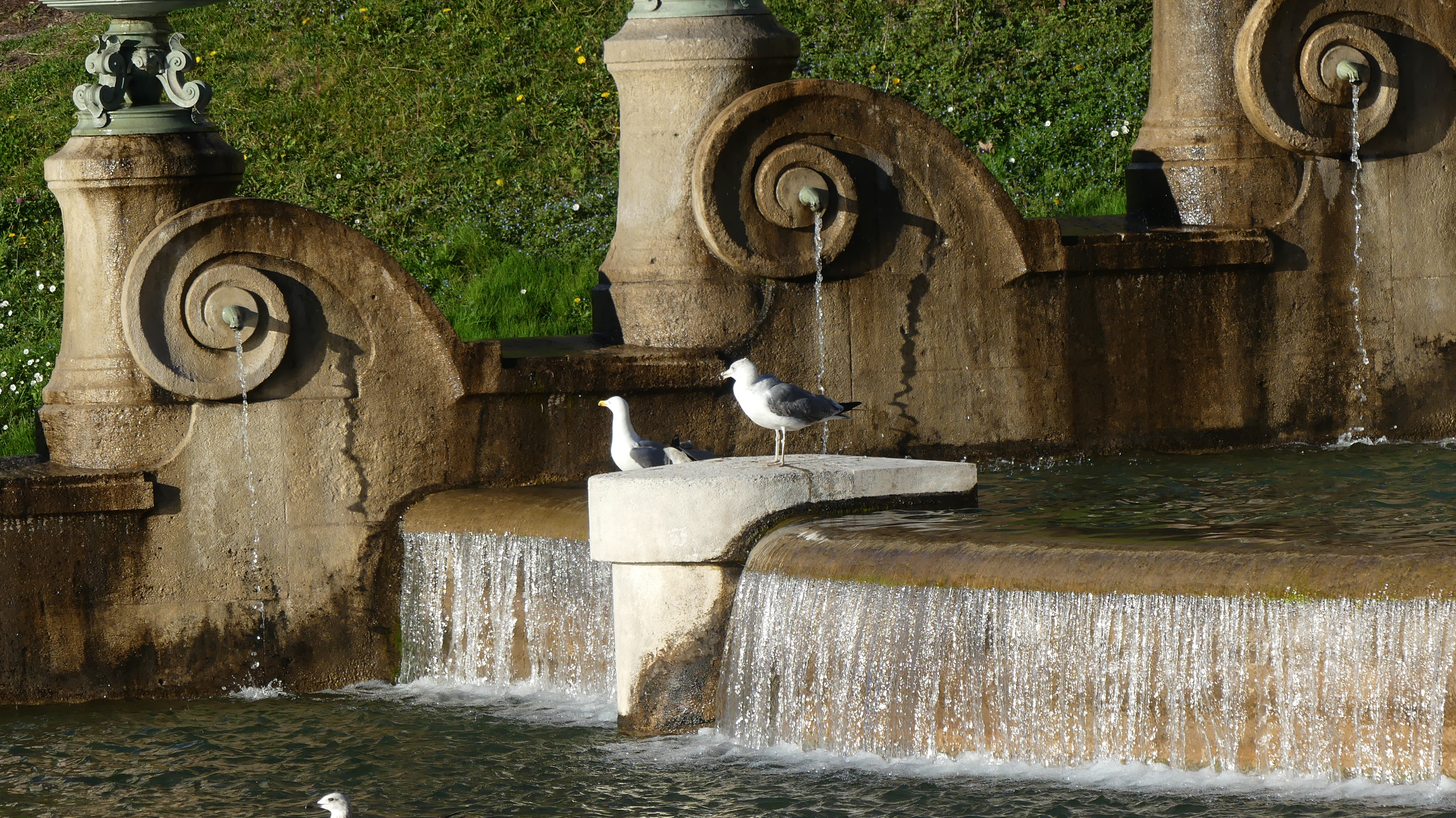 Photo n° 30 de l'avis de Titi.a fait le 04/07/2017 à 22:26