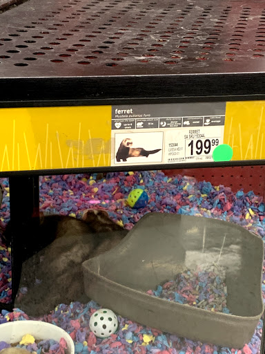 Pet Supply Store «Petco Animal Supplies», reviews and photos, 1410 N Loop 336 W, Conroe, TX 77304, USA