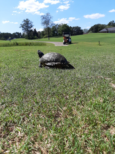 Public Golf Course «Traces Golf Club & Shankers Grille», reviews and photos, 4322 Southborough Rd, Florence, SC 29501, USA