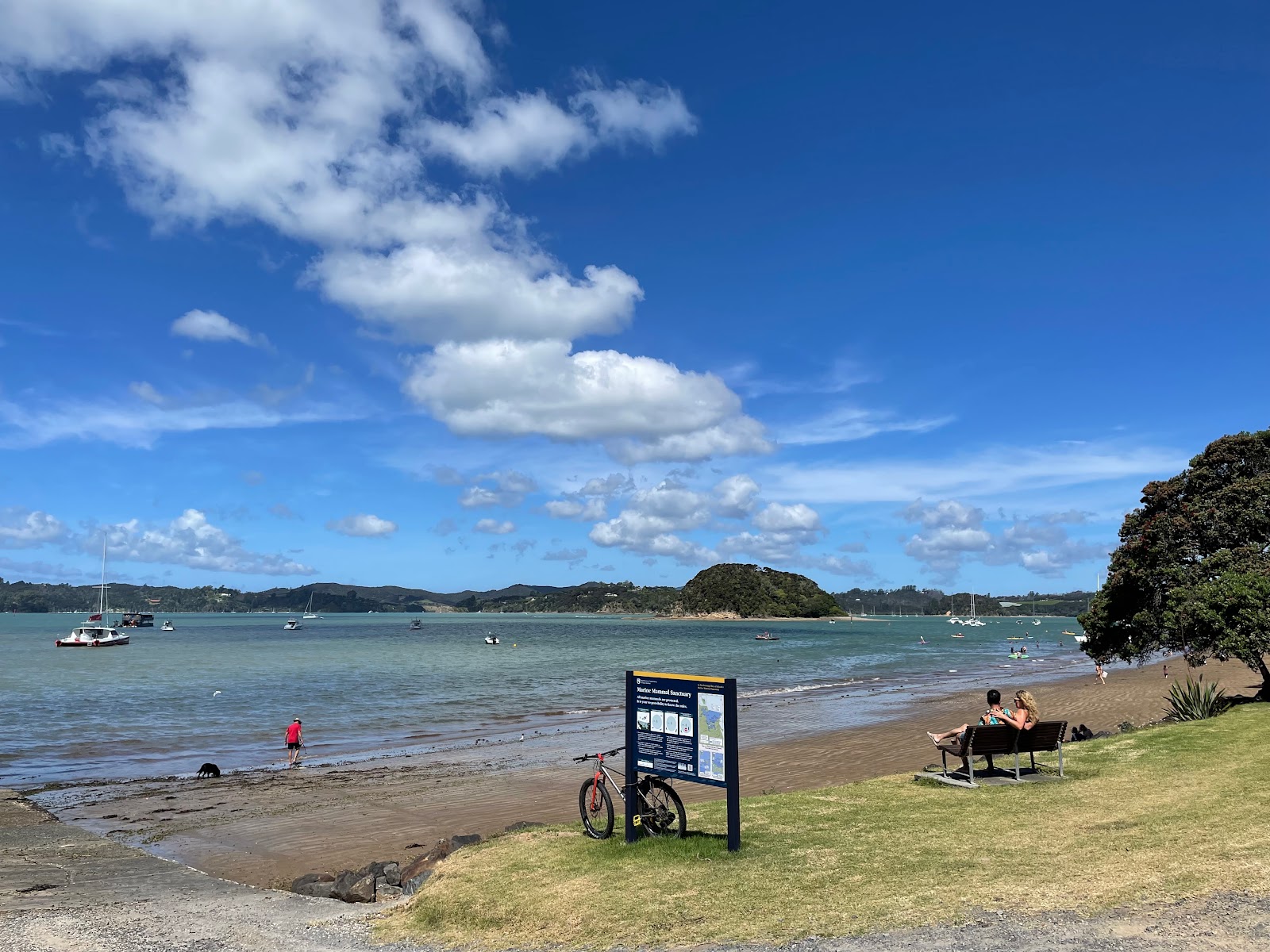 Φωτογραφία του Paihia Beach υποστηρίζεται από βράχους