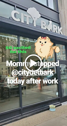Pet Store «City Bark», reviews and photos, 1222 Griswold St, Detroit, MI 48226, USA