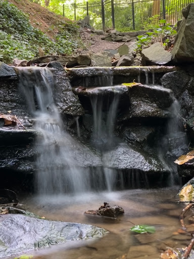 Nature Preserve «Tregaron Conservancy», reviews and photos, 3100 Macomb St NW, Washington, DC 20008, USA
