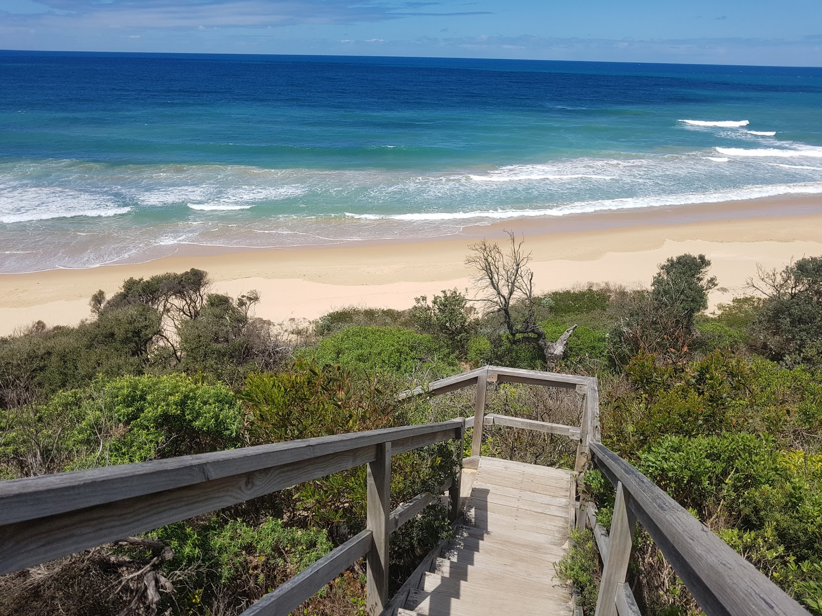 Shelly Beach photo #8