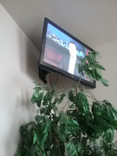 Attorney «Eric Palacios & Associates Ltd», reviews and photos