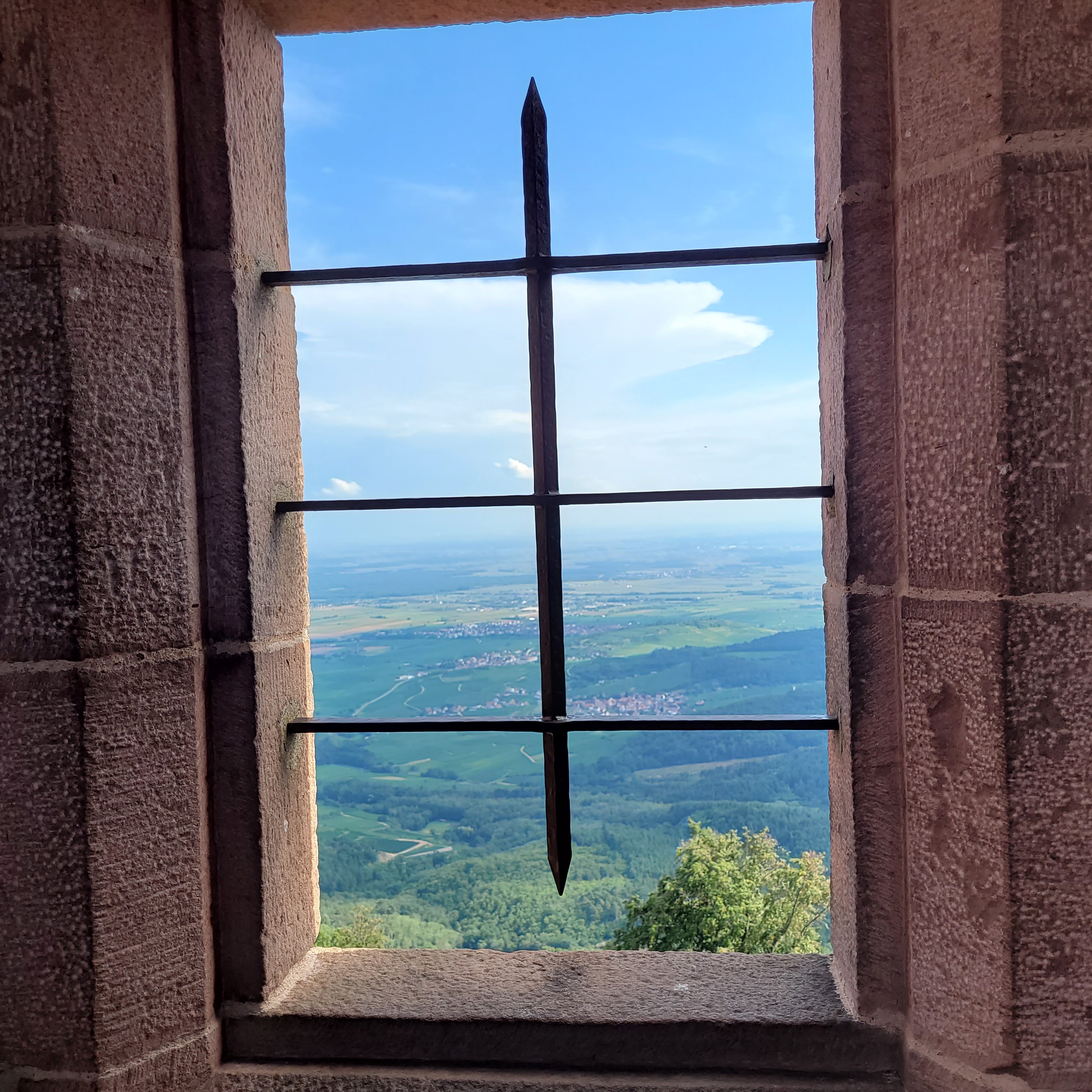 Photo n° 3 de l'avis de Cat29.. fait le 17/08/2023 à 16:53