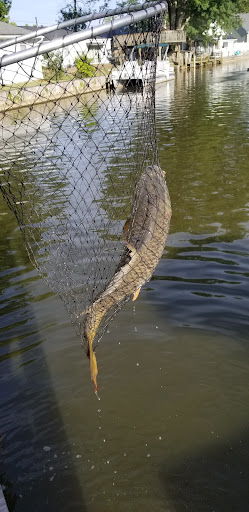 Yacht Club «Buckeye Lake Yacht Club», reviews and photos