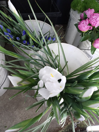 Florist «TGF Flowers», reviews and photos, 3902 Fannin St, Houston, TX 77004, USA