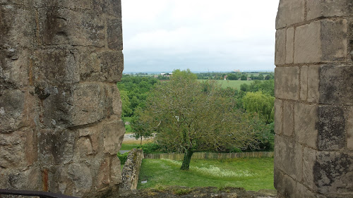 Château de Terre Neuve à Fontenay-le-Comte