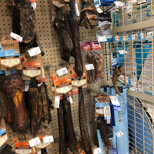 Pet Supply Store «PetSmart», reviews and photos, 2840 W Chandler Blvd, Chandler, AZ 85224, USA