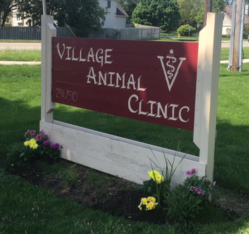 Village Animal Clinic image 1