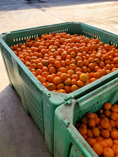 Supermarket «Santa Fe Mercados Inc», reviews and photos, 870 S White Rd, San Jose, CA 95127, USA