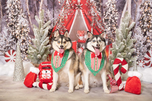 Pet Supply Store «EarthWise Pet Supply», reviews and photos, 7316 Yankee Rd, Liberty Township, OH 45044, USA