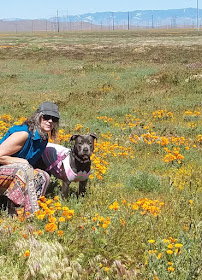 Bethlehem Animal Hospital - Photo 7 - Car repair in Hickory, NC, Hickory