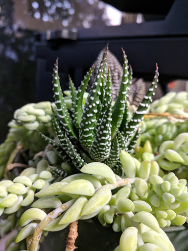 Picture Frame Shop «Abbot Art Picture Frames and Giclee Printing», reviews and photos, 44 Central Dr, Farmingdale, NY 11735, USA